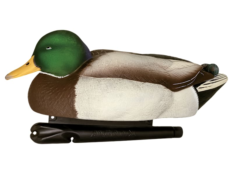 Avian-X Late Season Flocked Mallard Decoys 12-Pack