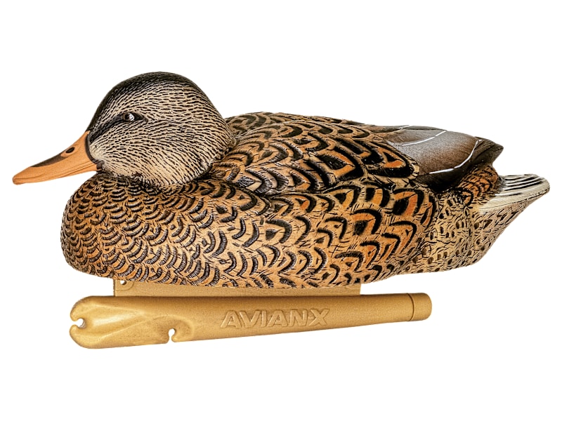Avian-X Late Season Flocked Mallard Decoys 12-Pack