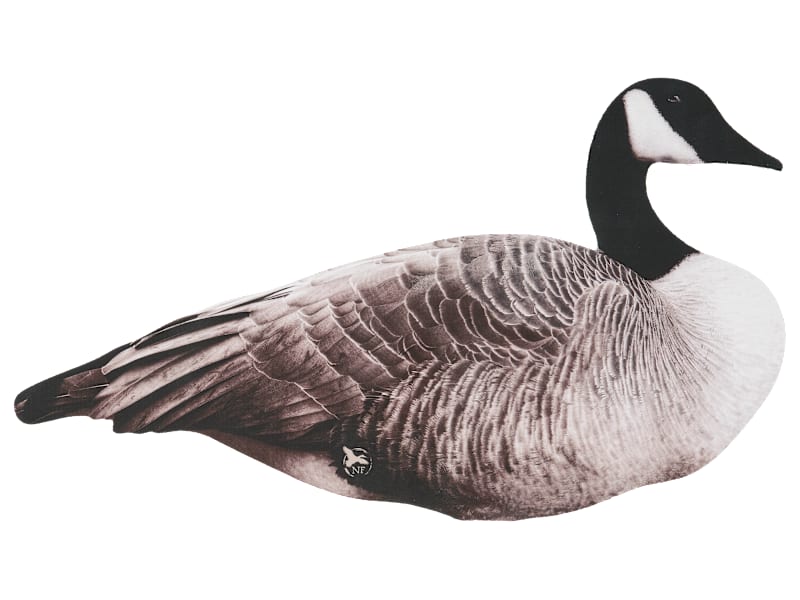Earnings Canada Goose Stock Price Forecast Final Approach Last Pass Canada  Goose Decoys Floaters