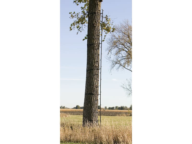 Big Game Treestands Quick Stick Climbing System