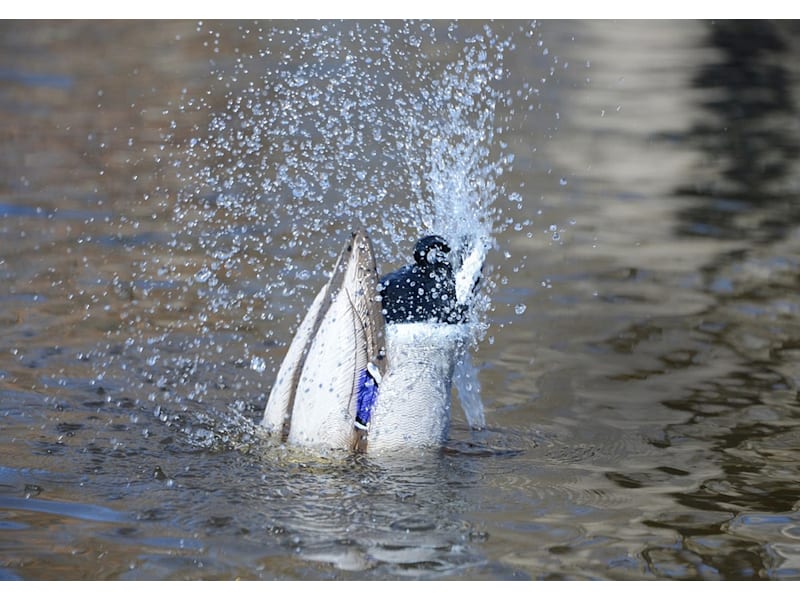 Higdon Decoys Pulsator 2 Plug-N-Hunt Motion Duck Decoy System