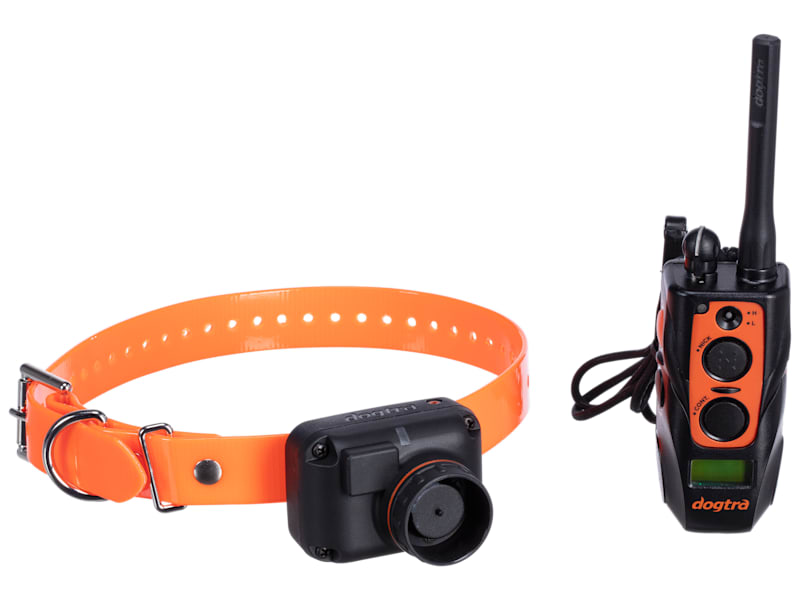 Dog Training Cabelas Dogtra READ Cabelas Gun-Dog Sport-Dog Trainer