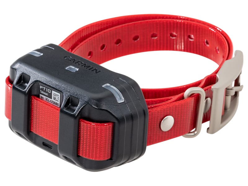 dog collars garmin pt 10 Garmin PT 10 Add-On Dog Training Collar Bass Pro Shops