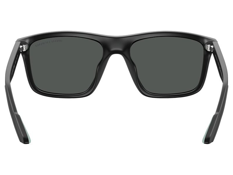 Armani Exchange AX4149SU Sunglasses | Mack's Prairie Wings