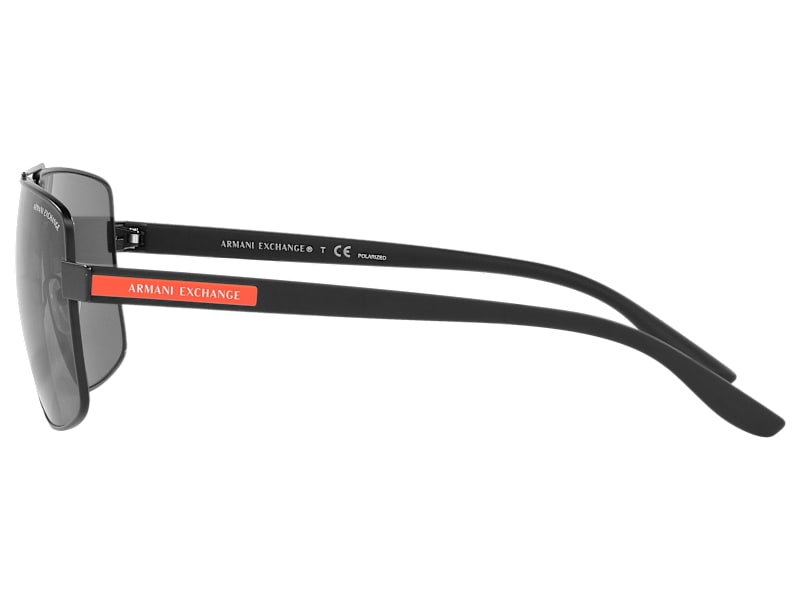 Armani Exchange AX2037S Polarized Sunglasses | Bass Pro Shops