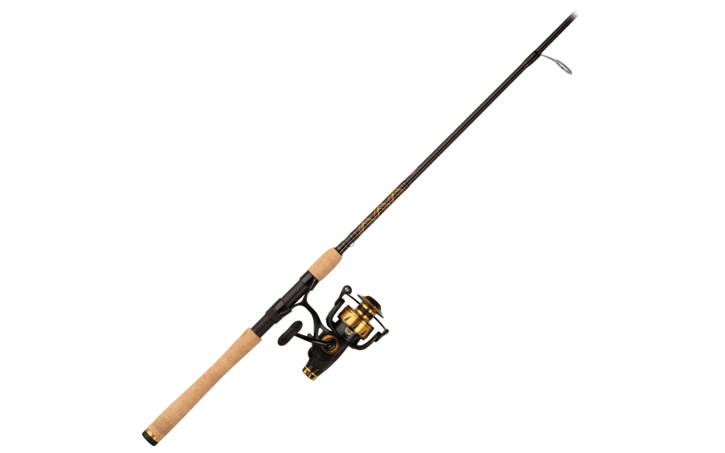 PENN Passion II Spinning Reel and Fishing Rod Combo