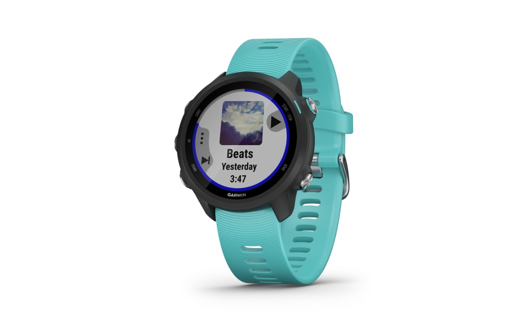 Garmin Forerunner 245 Music GPS Smartwatch | Cabela's