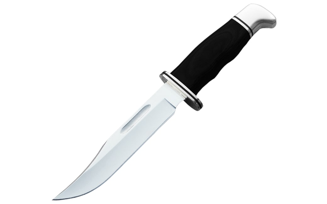 Buck Fixed-Blade Knife - Special | Bass Pro Shops