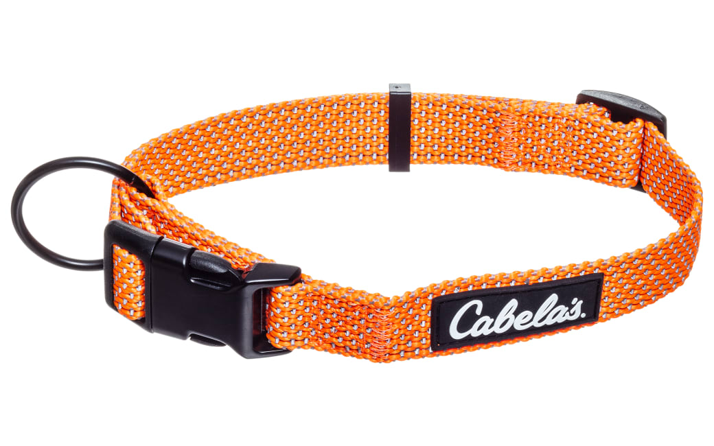 Bark collar cabelas shop