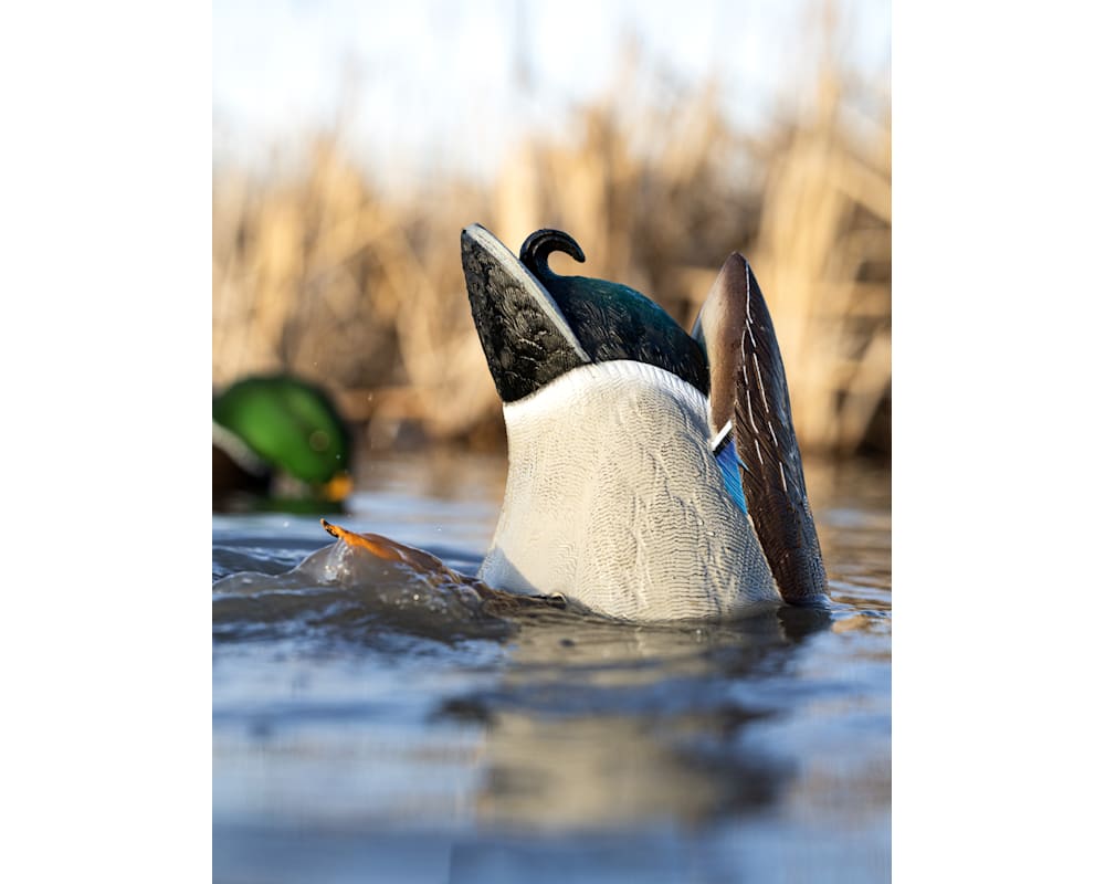 Avian-X Power Butt Kicker Motion Duck Decoy 2 Pack