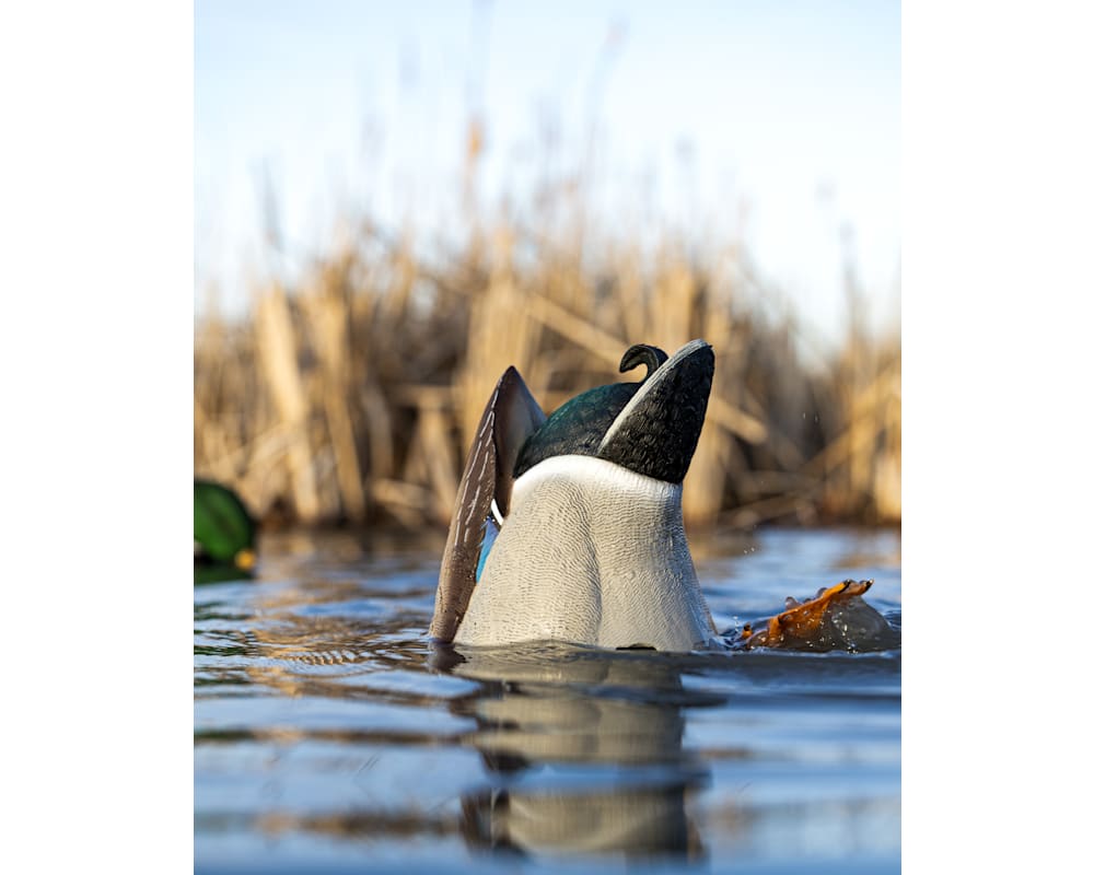 Avian-X Power Butt Kicker Motion Duck Decoy 2 Pack
