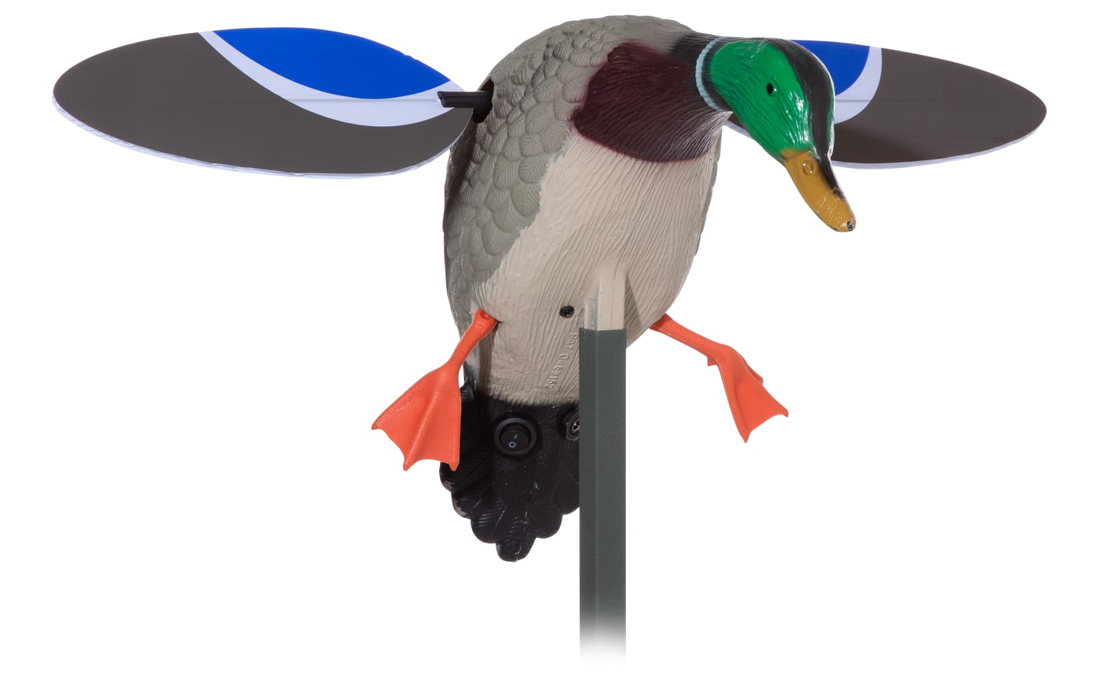 Mallard mojo - lagoagrio.gob.ec
