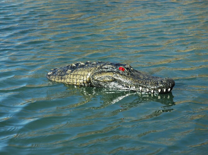 Outdoor Water Solutions Floating Gator