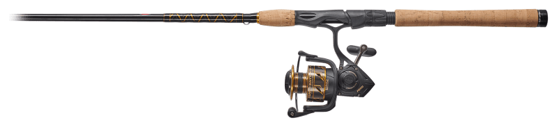 Missing Reel PENN Battle III Inshore Spinning Combo - BTLIII250701ML