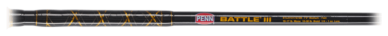 Missing Reel PENN Battle III Inshore Spinning Combo - BTLIII250701ML