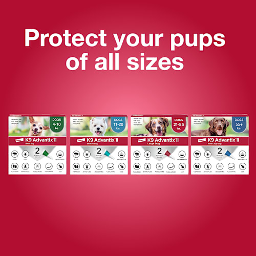 Elanco K9 Advantix II Flea and Tick Prevention - 11-20 lbs. - K9 Advantix II Medium Dog 2-Pack