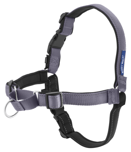 PetSafe Deluxe Easy Walk