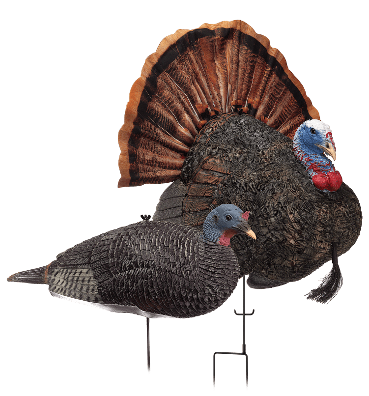 Redhead combo turkey decoys