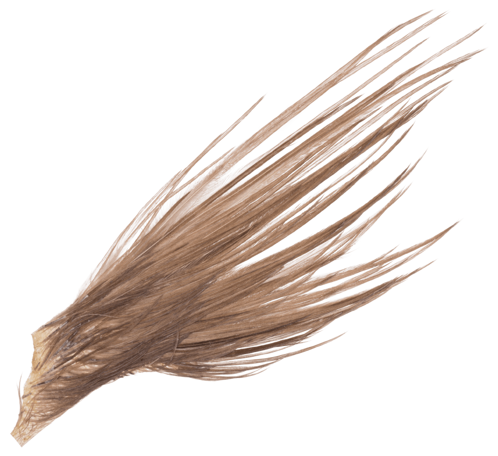 White River Fly Shop Dry Fly Neck Hackle