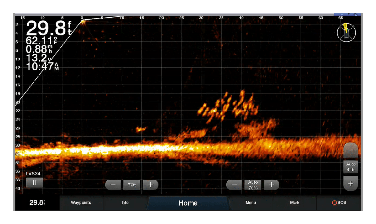 Garmin LiveScope Sonar image showing fish near submerged structures.