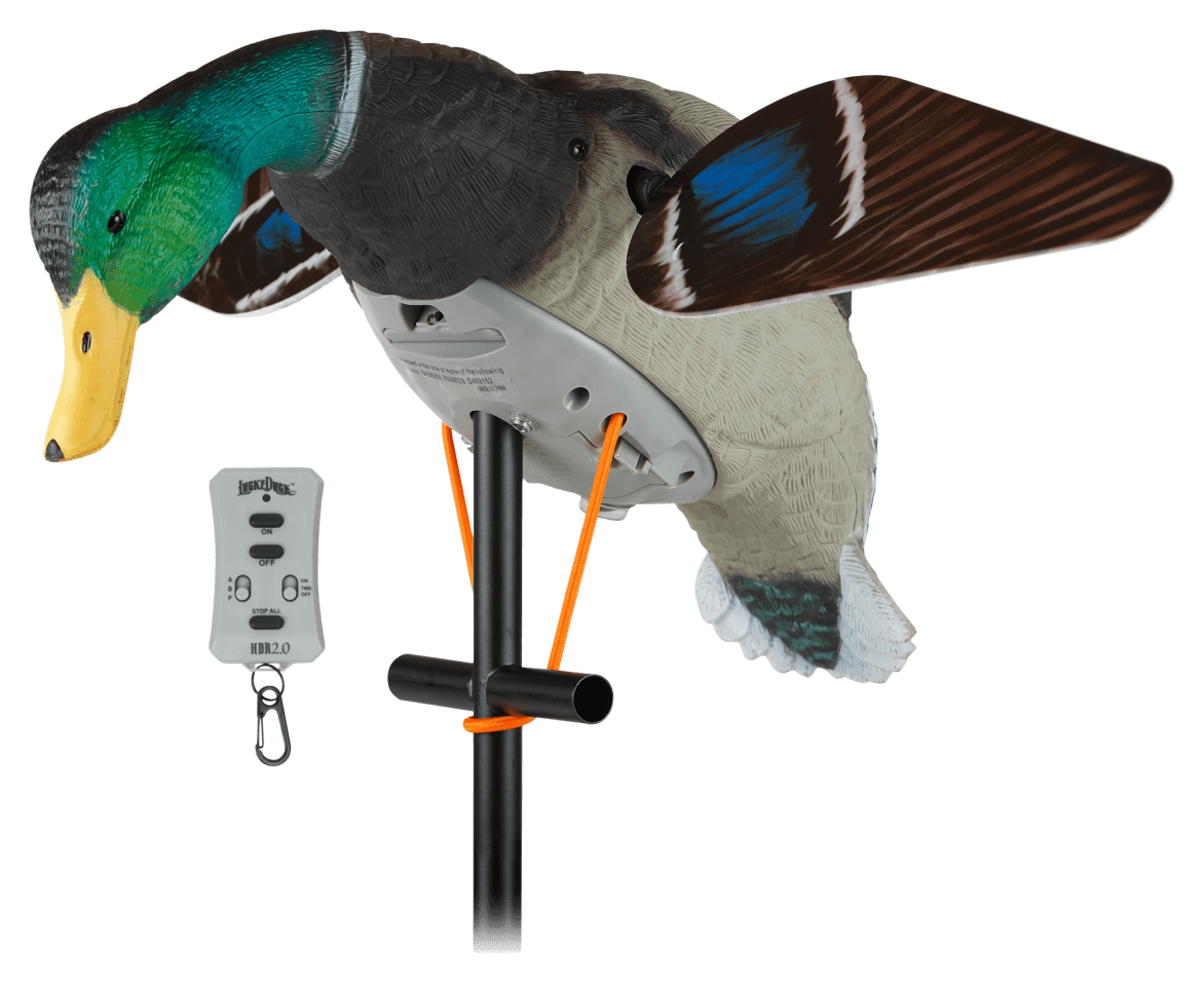 Duck Decoys Static VS Motion Bass Pro Shops