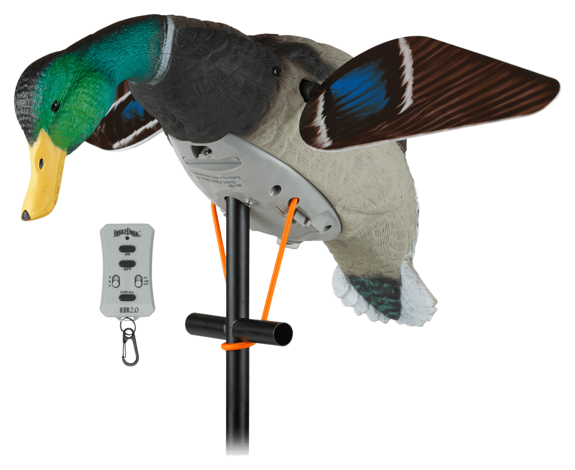 Lucky Duck Lucky HD Motorized Duck Decoy with Remote 2.0