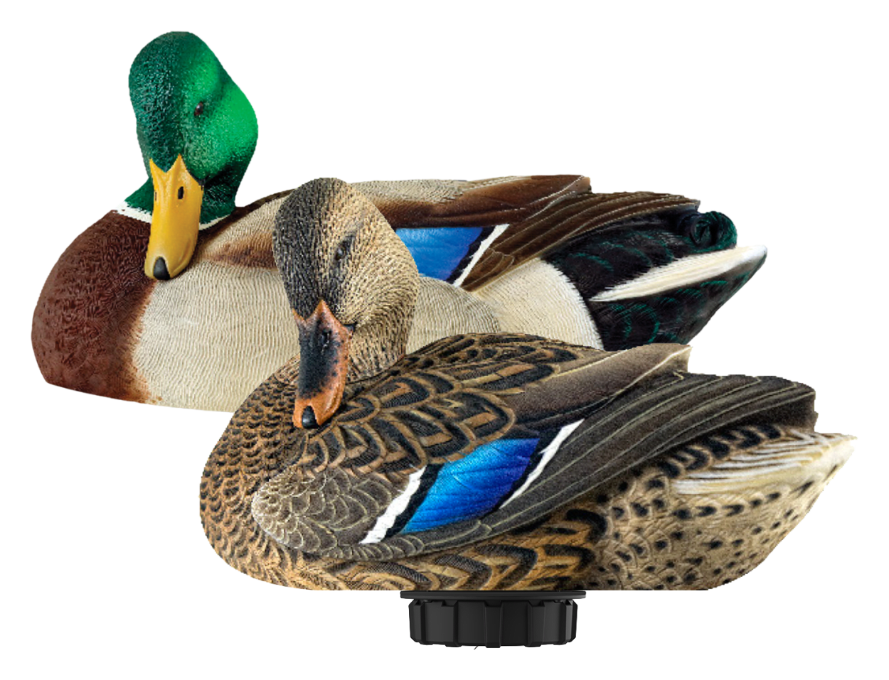 Avian-X Power Shaker Mallard Preener Motorized Duck Decoy Combo