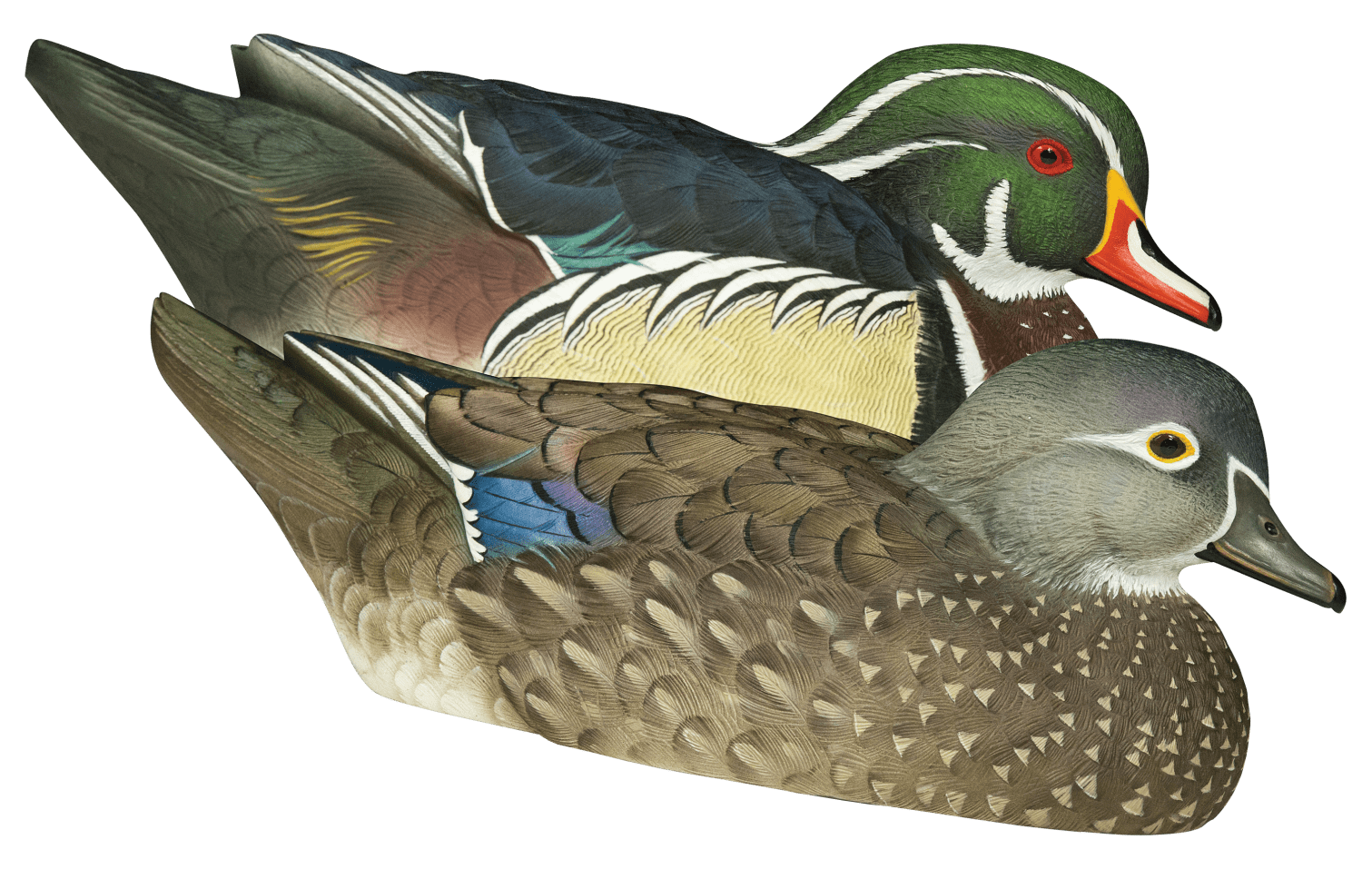 Avian-X Topflight Wood Duck Decoys