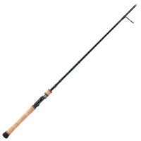 Bass Pro Shops Fish Eagle Spinning Rod