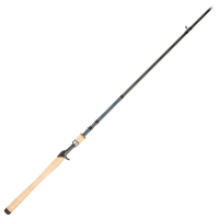 Bass Pro Shops Fish Eagle Casting Rod