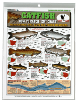 How To Catch 'Em Fishing Chart - Catfish