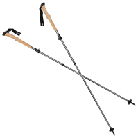 Ascend trekking pole sales