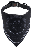 Jeep hotsell dog bandana