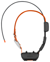 Shock collar bass pro cheap