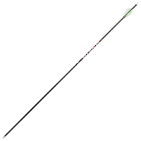 BlackOut SX3 Hunter Small Diameter Carbon Arrows | Bass Pro Shops