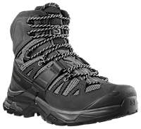 Salomon Quest 4D GORE-TEX Forces 2 EN Hiking Boots for Men | Cabela's