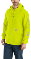 Carhartt sour apple hoodie 2025