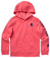 Carhartt Lightweight Graphic Long Sleeve Hoodie for Kids Bass Pro Shops