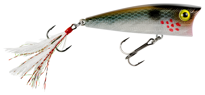 Topwater Fishing Strategies: How to Fish the Rebel Pop-R