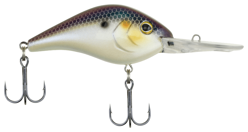 Pure Fishing Coupons, Promo Codes & Rewards for 2024