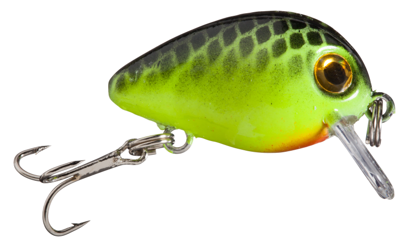 Topwater Lures Breakdown: The Ultimate Guide To Surface Baits