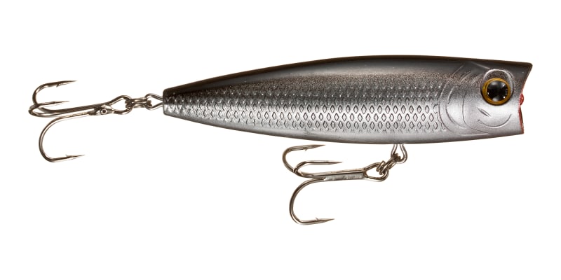 NEW LOT OF 3 BASS Pro Shop Tourney Special Popper Minnow CrankBait Fishing  Lure $12.99 - PicClick