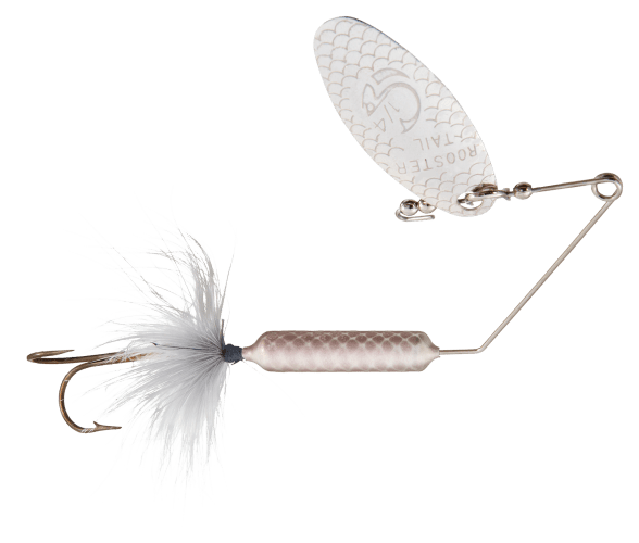 Rooster 2024 tail spinner