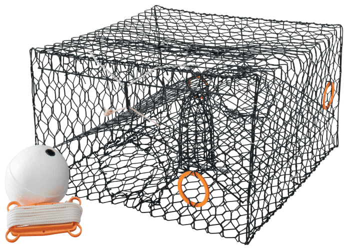 Sturdy Loose Mesh Net: Don't call it a chicken net - Buy online