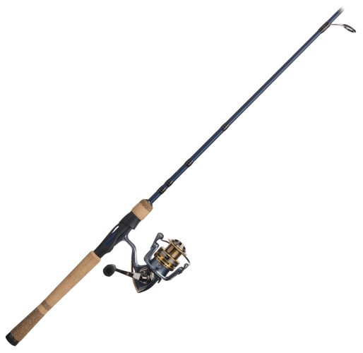 Pflueger President Eagle Spinning Combo