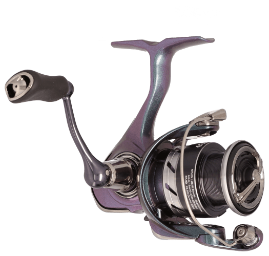 Daiwa Regal LT 1000 Spinning Reel – Hook'd Bait & Tackle