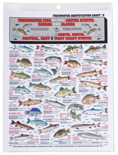 Waterproof Freshwater Fish ID Chart #8