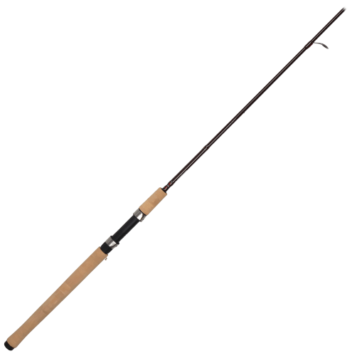 Salmon 2024 fishing rod