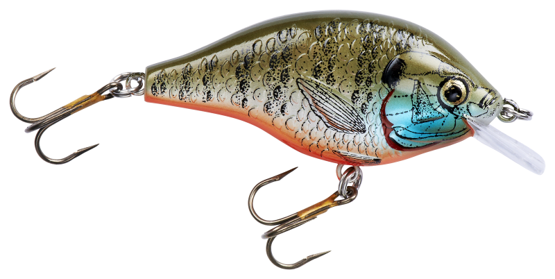 Panfish Bait of the Future? - Fishing Tackle Retailer - The