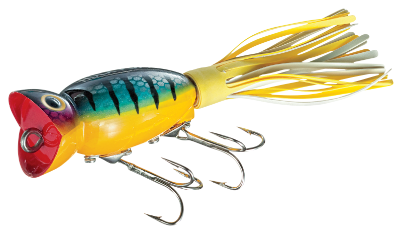 Fishing with poppers outlet